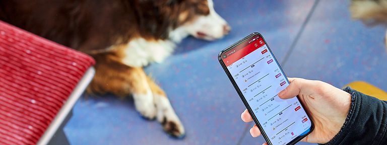 Mann schaut in U-Bahn in der hvv-App nach einer Fahrverbindung
